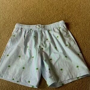 Kids Swim Shorts with Palm Tree Print